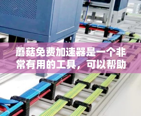 蘑菇免费加速器是一个非常有用的工具，可以帮助你提升网络速度。以下是一个详细的下载和使用步骤