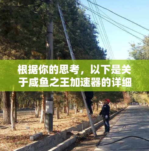 根据你的思考，以下是关于咸鱼之王加速器的详细分析和建议