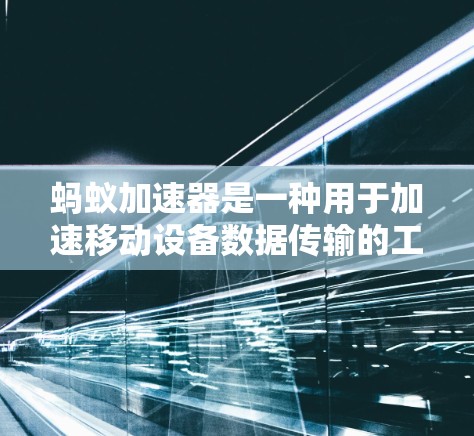 蚂蚁加速器是一种用于加速移动设备数据传输的工具，通常在特定的网络环境中使用。以下是关于蚂蚁加速器的详细说明