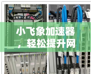 小飞象加速器，轻松提升网页速度的秘密