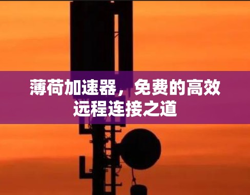 薄荷加速器，免费的高效远程连接之道