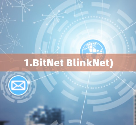 1.BitNet BlinkNet)