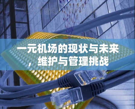 一元机场的现状与未来，维护与管理挑战