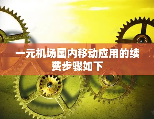 一元机场国内移动应用的续费步骤如下
