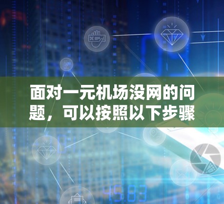 面对一元机场没网的问题，可以按照以下步骤进行处理