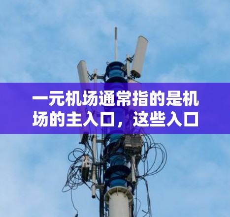 一元机场通常指的是机场的主入口，这些入口可能相对较小，操作起来可能比较复杂。如果你提到根本用不了，可能是因为这些入口的使用体验不如其他类型的机场入口，或者在某些情况下不太方便