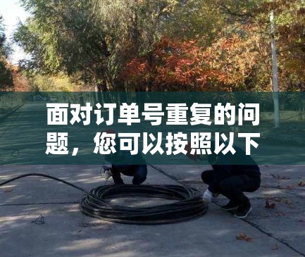 面对订单号重复的问题,您可以按照以下步骤进行处理 面对订单号重复的问题,您可以按照以下步骤进行处理