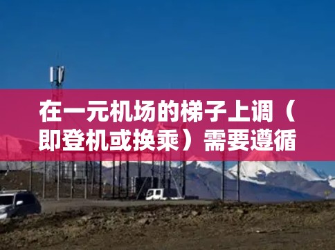在一元机场的梯子上调（即登机或换乘）需要遵循以下步骤和操作，以确保顺利进行