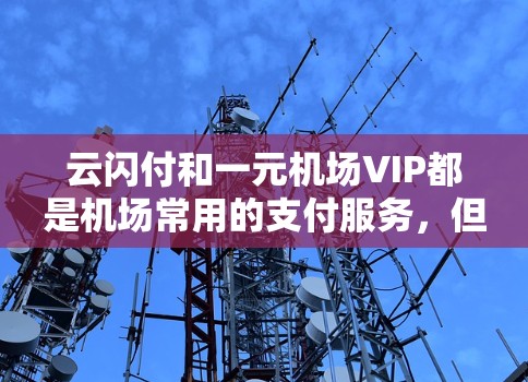 云闪付和一元机场VIP都是机场常用的支付服务，但它们有不同的用途和适用场景。以下是它们的对比和用户可能遇到的问题