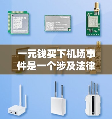 一元钱买下机场事件是一个涉及法律和公共安全的问题，需要从多个角度进行分析。以下是对此问题的详细分析