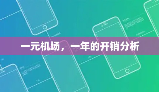 一元机场，一年的开销分析