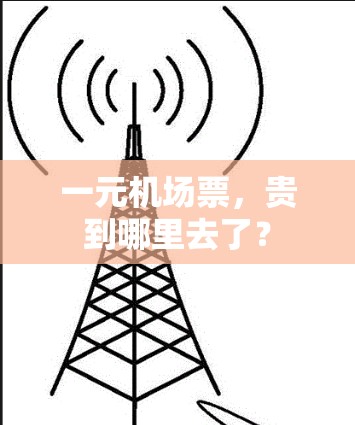 一元机场票，贵到哪里去了？