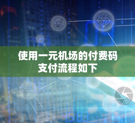 使用一元机场的付费码支付流程如下