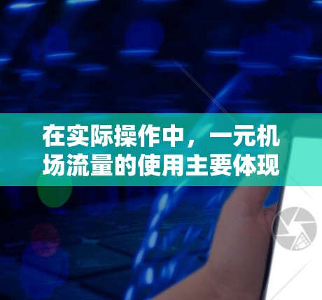 在实际操作中，一元机场流量的使用主要体现在以下几个方面