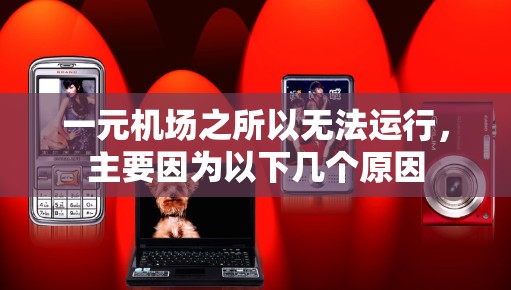 一元机场之所以无法运行，主要因为以下几个原因