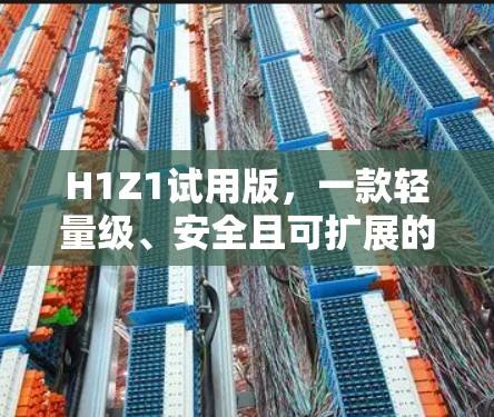 H1Z1试用版，一款轻量级、安全且可扩展的VPN解决方案