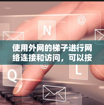 使用外网的梯子进行网络连接和访问，可以按照以下步骤进行