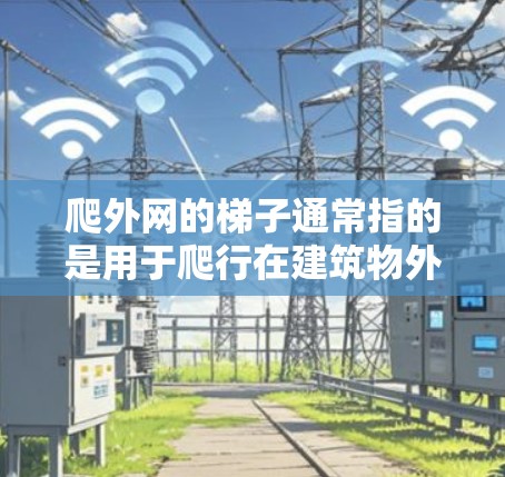 爬外网的梯子通常指的是用于爬行在建筑物外部的梯子。以下是几种常见的爬外网梯子类型及其特点