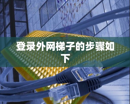 登录外网梯子的步骤如下