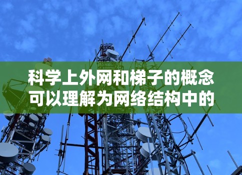 科学上外网和梯子的概念可以理解为网络结构中的两个关键元素，它们在科学研究和跨领域协作中发挥着各自的作用