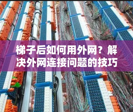 梯子后如何用外网？解决外网连接问题的技巧