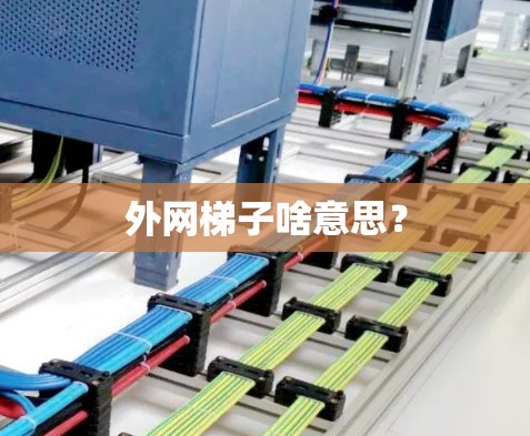 外网梯子啥意思？