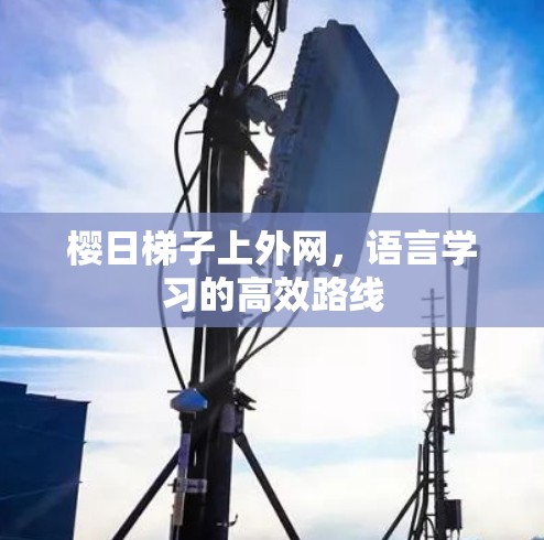 樱日梯子上外网,语言学习的高效路线 樱日梯子上外网,语言学习的高效路线