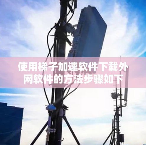 使用梯子加速软件下载外网软件的方法步骤如下