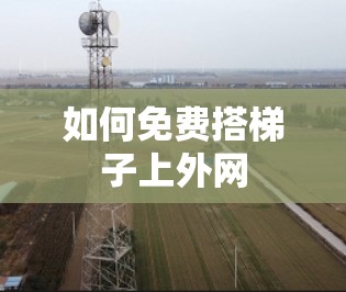 如何免费搭梯子上外网