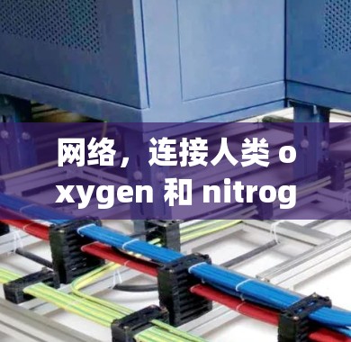 网络,连接人类 oxygen 和 nitrogen 的完美桥 网络,连接人类 oxygen 和 nitrogen 的完美桥