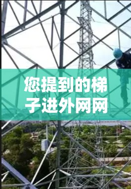 您提到的梯子进外网网页可能涉及到多个方面的理解。如果是指在网页上使用梯子作为支撑或结构的一部分，可以考虑以下几点
