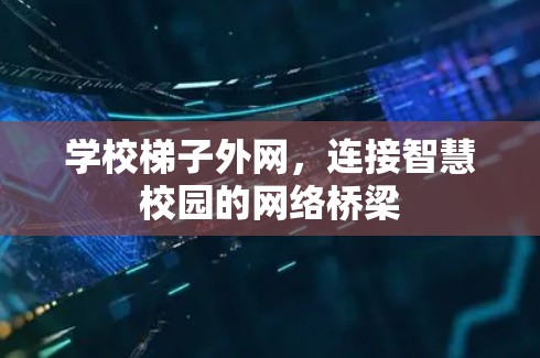 学校梯子外网，连接智慧校园的网络桥梁
