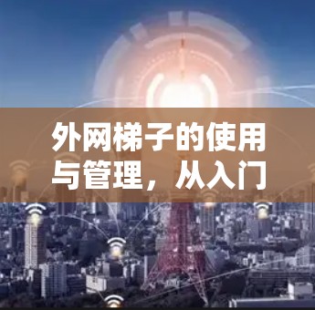 外网梯子的使用与管理，从入门到高级操作