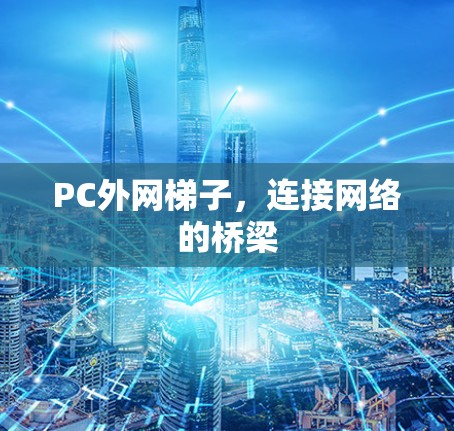 PC外网梯子，连接网络的桥梁