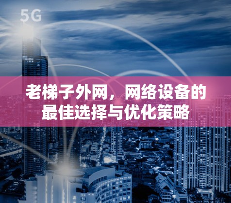 老梯子外网，网络设备的最佳选择与优化策略