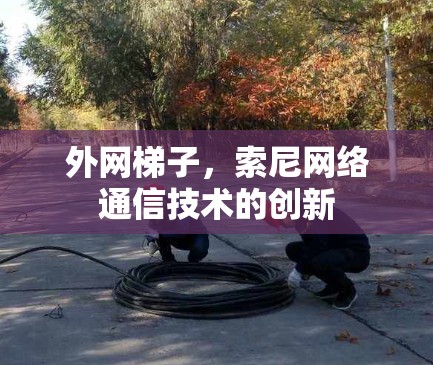 外网梯子，索尼网络通信技术的创新
