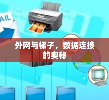 外网与梯子，数据连接的奥秘