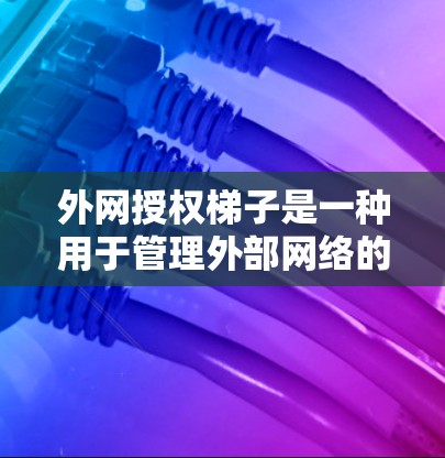 外网授权梯子是一种用于管理外部网络的工具，可能涉及多种功能和用途。以下是对其不同解释的详细总结