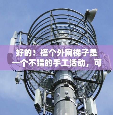 好的！搭个外网梯子是一个不错的手工活动，可以锻炼你的手眼协调能力。以下是一些步骤和建议，帮助你搭建一个外网梯子