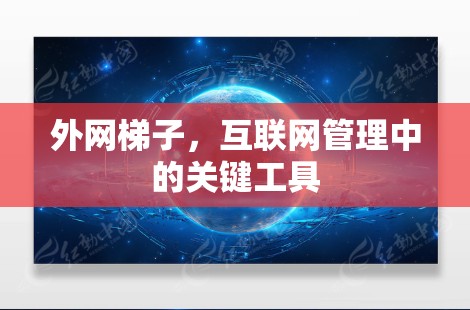 外网梯子，互联网管理中的关键工具