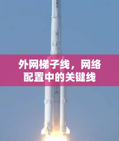 外网梯子线，网络配置中的关键线