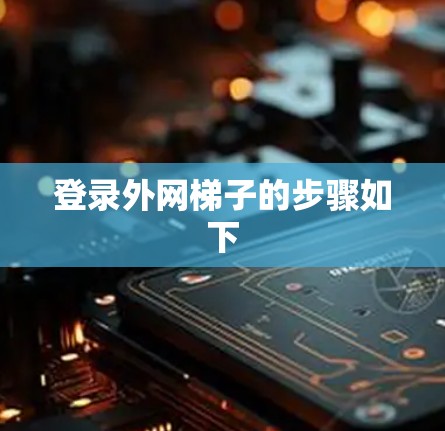 登录外网梯子的步骤如下