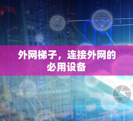 外网梯子，连接外网的必用设备
