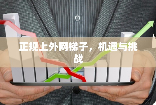 正规上外网梯子，机遇与挑战