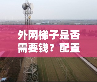 外网梯子是否需要钱？配置与维护的经济考量