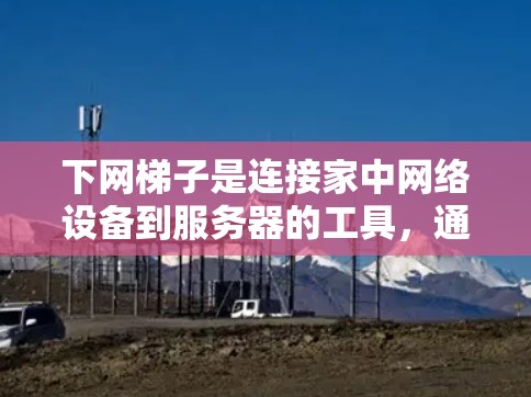 下网梯子是连接家中网络设备到服务器的工具，通常用于连接多个服务器。以下是详细的步骤和注意事项