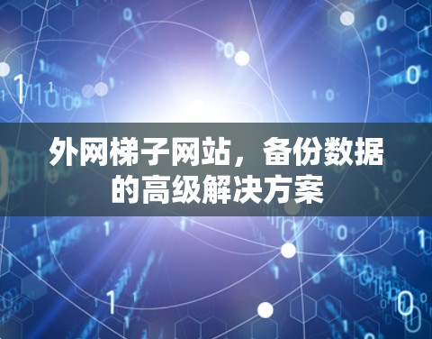 外网梯子网站，备份数据的高级解决方案