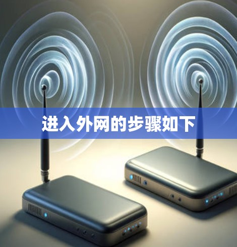 进入外网的步骤如下