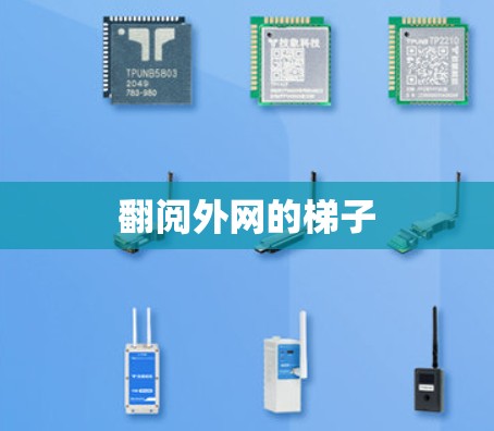 翻阅外网的梯子