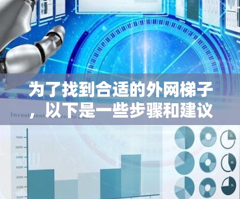 为了找到合适的外网梯子，以下是一些步骤和建议